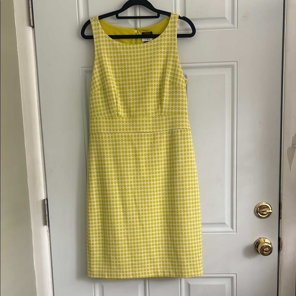 Ann Taylor Citron Green/White  Sleeveless Sheath Dress, Size Small